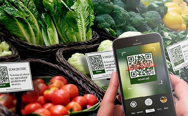 quét mã vạch trong quản lý và truy xuất nguồn gốc